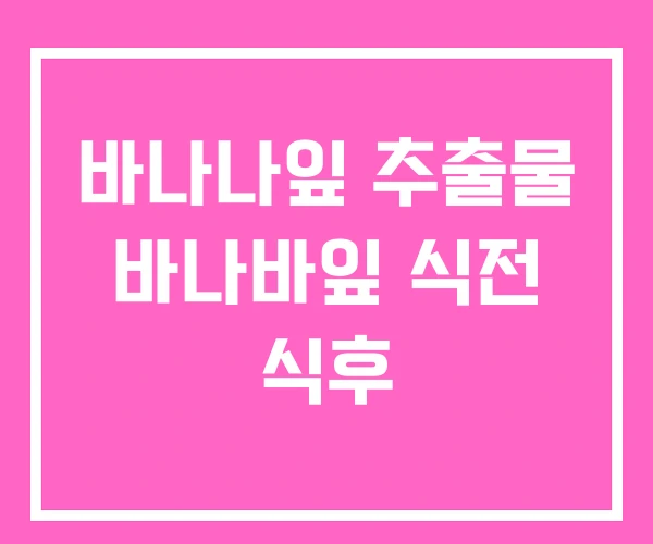 바나나잎 추출물 바나바잎 식전 식후