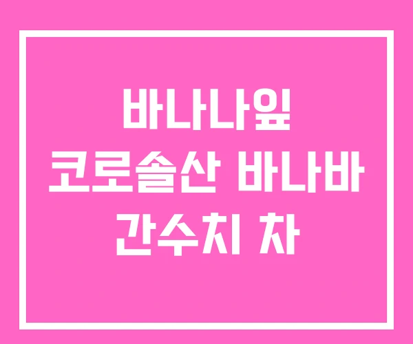 바나나잎 코로솔산 바나바 간수치 차