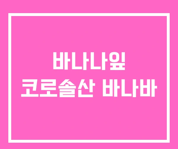 바나나잎 코로솔산 바나바