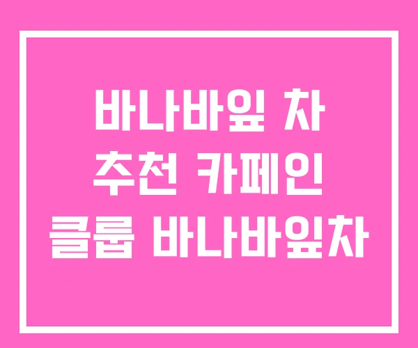 바나바잎 차 추천 카페인 클룹 바나바잎차