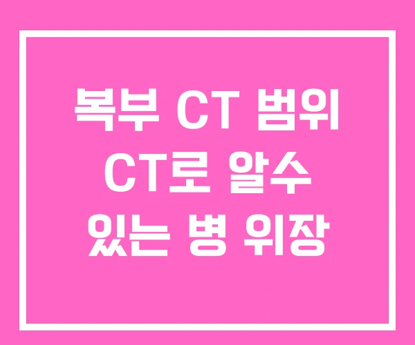 복부 CT 범위 CT로 알수 있는 병 위장