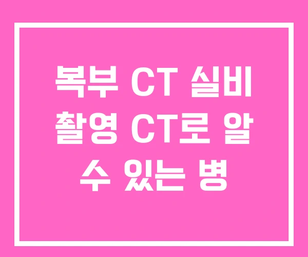 복부 CT 실비 촬영 CT로 알 수 있는 병