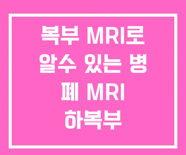 복부 MRI로 알수 있는 병 폐 MRI 하복부