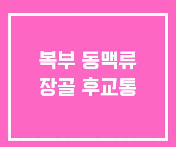 복부 동맥류 장골 후교통