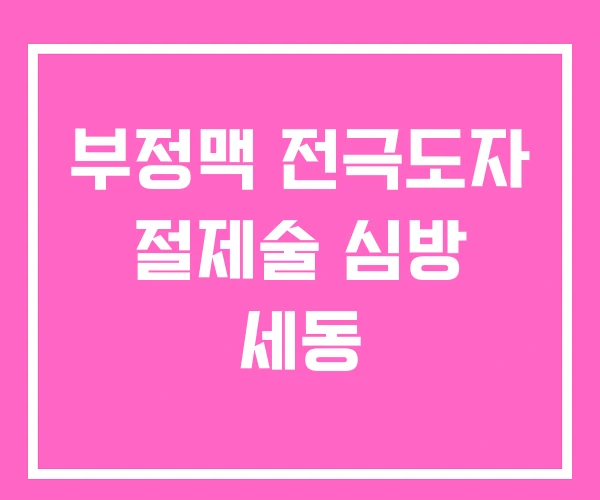 부정맥 전극도자 절제술 심방 세동