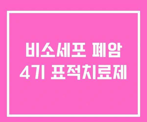 비소세포 폐암 4기 표적치료제