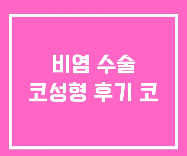 비염 수술 코성형 후기 코