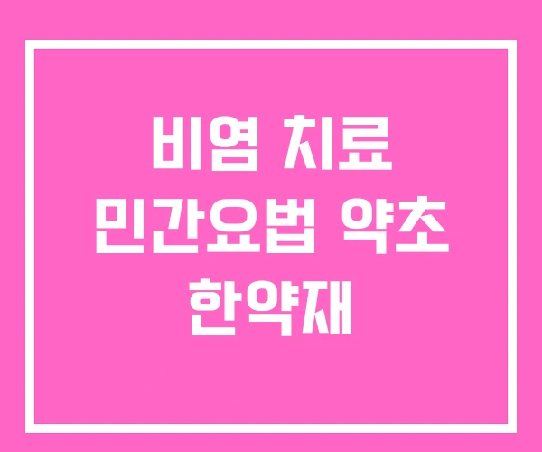 비염 치료 민간요법 약초 한약재