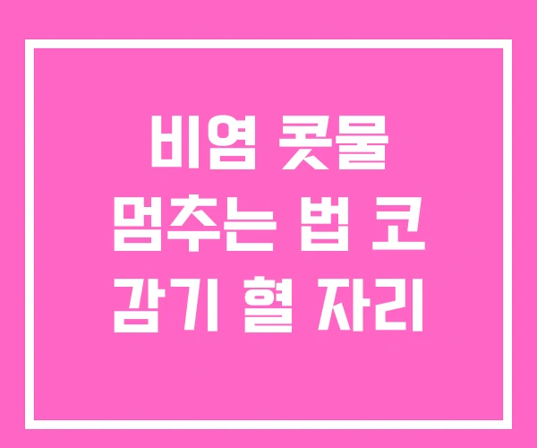 비염 콧물 멈추는 법 코 감기 혈 자리