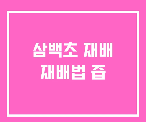 삼백초 재배 재배법 즙