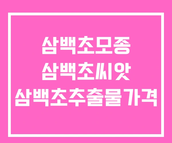 삼백초모종 삼백초씨앗 삼백초추출물가격