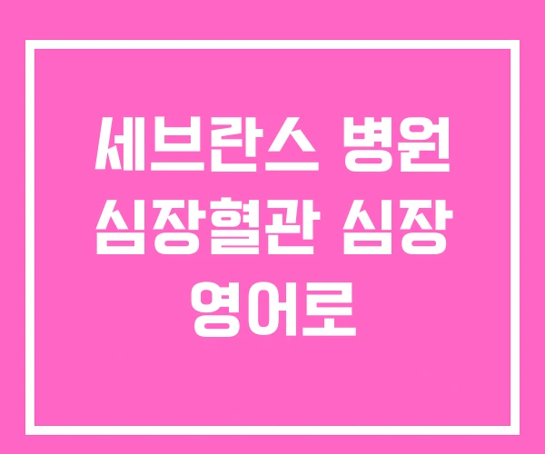 세브란스 병원 심장혈관 심장 영어로