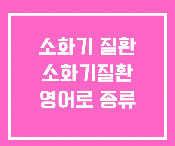 소화기 질환 소화기질환 영어로 종류