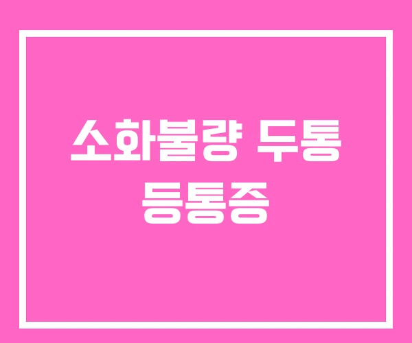 소화불량 두통 등통증