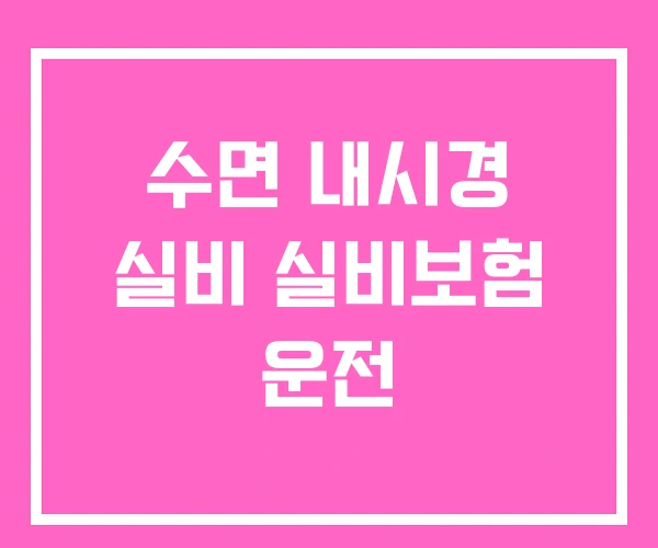 수면 내시경 실비 실비보험 운전