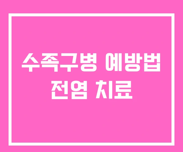 수족구병 예방법 전염 치료