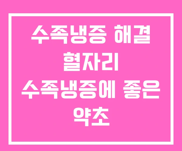 수족냉증 해결 혈자리 수족냉증에 좋은 약초