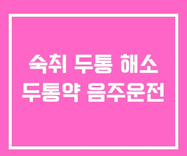 숙취 두통 해소 두통약 음주운전