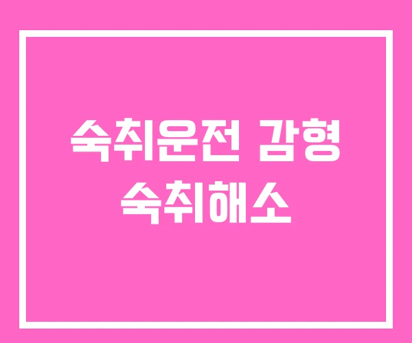 숙취운전 감형 숙취해소