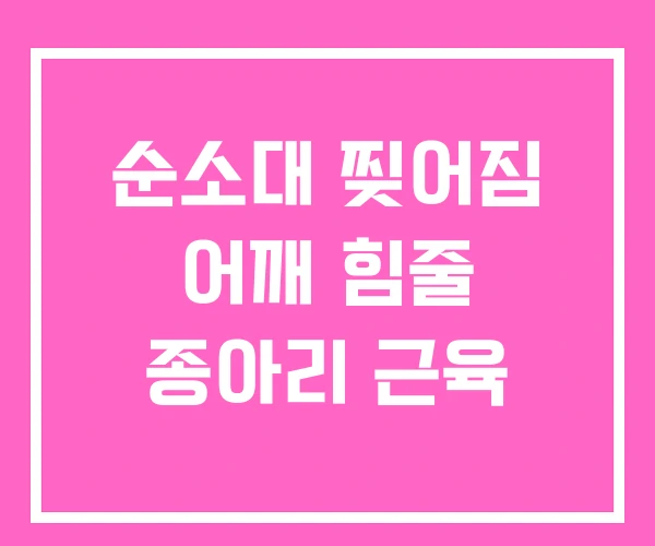 순소대 찢어짐 어깨 힘줄 종아리 근육