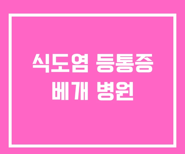 식도염 등통증 베개 병원