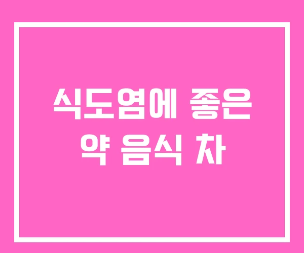 식도염에 좋은 약 음식 차