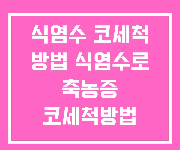 식염수 코세척 방법 식염수로 축농증 코세척방법