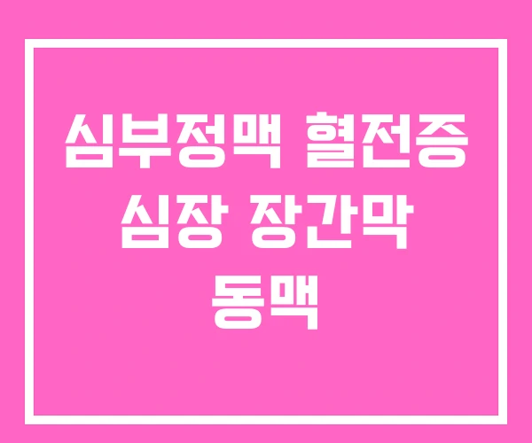 심부정맥 혈전증 심장 장간막 동맥