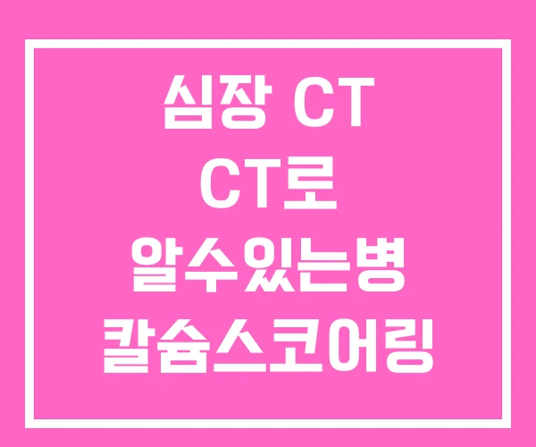 심장 CT CT로 알수있는병 칼슘스코어링