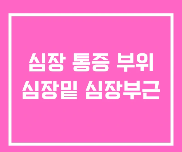 심장 통증 부위 심장밑 심장부근