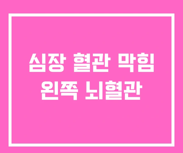 심장 혈관 막힘 왼쪽 뇌혈관