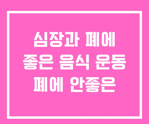 심장과 폐에 좋은 음식 운동 폐에 안좋은