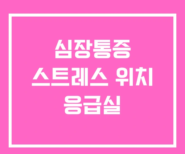 심장통증 스트레스 위치 응급실