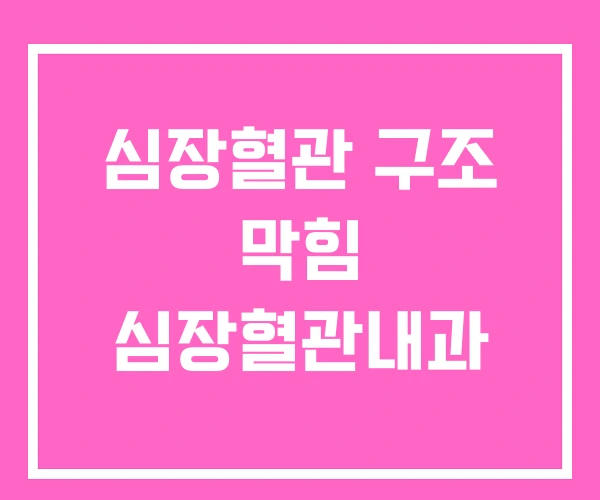 심장혈관 구조 막힘 심장혈관내과