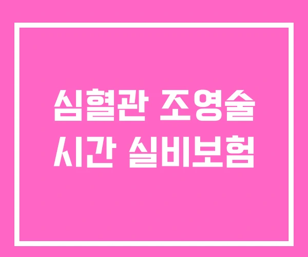 심혈관 조영술 시간 실비보험