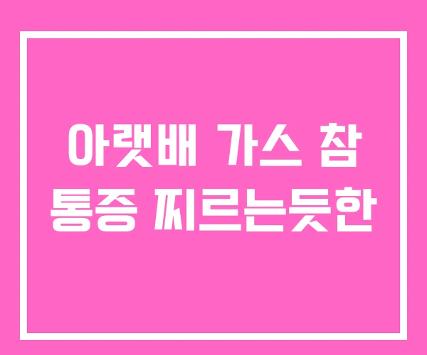 아랫배 가스 참 통증 찌르는듯한