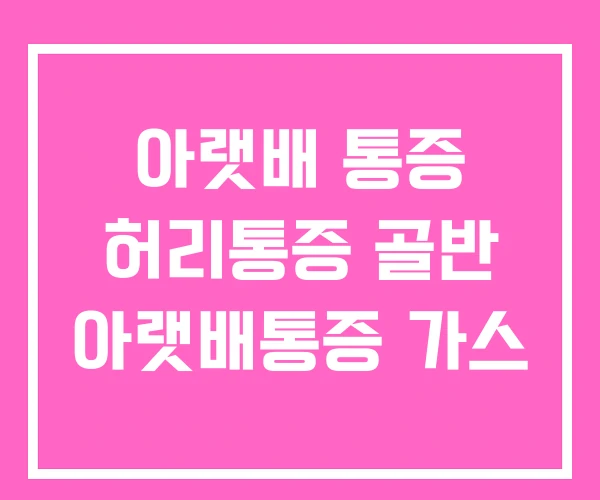 아랫배 통증 허리통증 골반 아랫배통증 가스