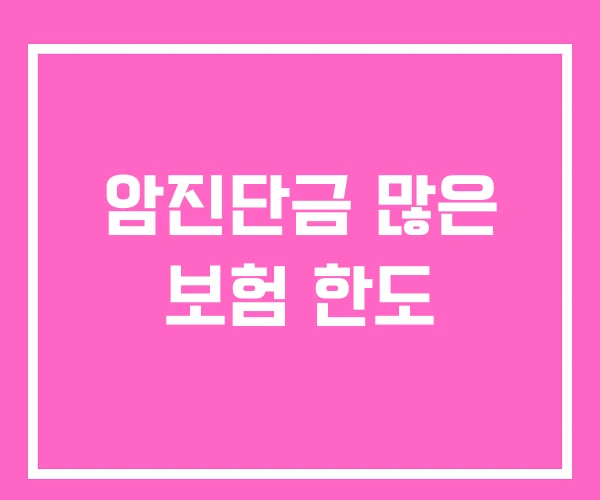 암진단금 많은 보험 한도