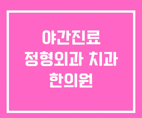 야간진료 정형외과 치과 한의원