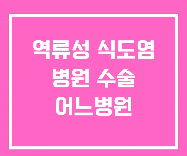 역류성 식도염 병원 수술 어느병원