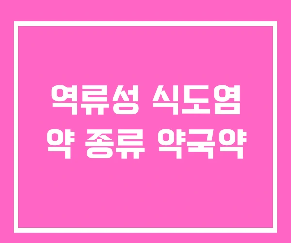 역류성 식도염 약 종류 약국약