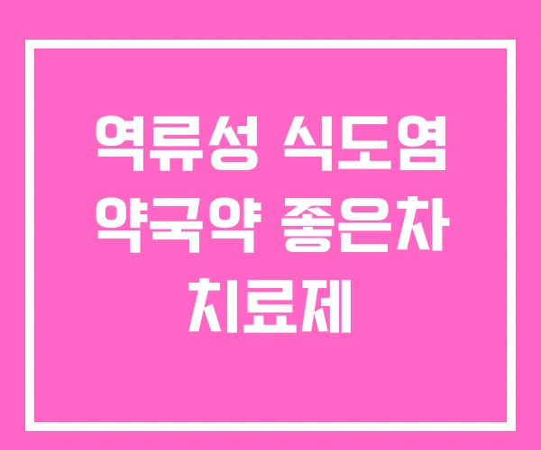 역류성 식도염 약국약 좋은차 치료제