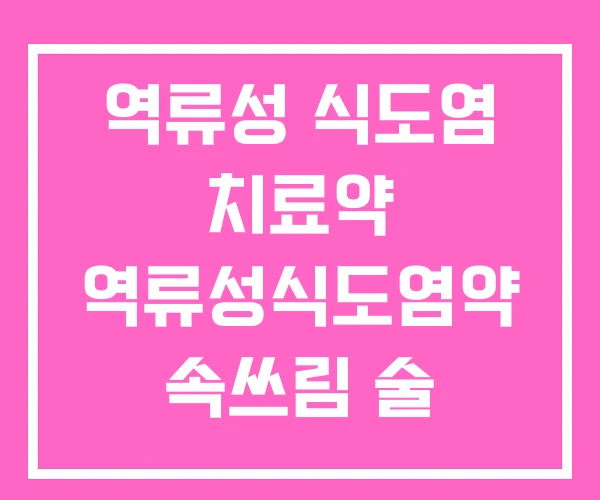 역류성 식도염 치료약 역류성식도염약 속쓰림 술
