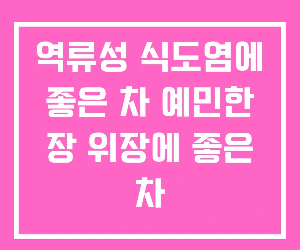 역류성 식도염에 좋은 차 예민한 장 위장에 좋은 차