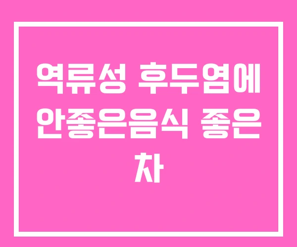 역류성 후두염에 안좋은음식 좋은 차