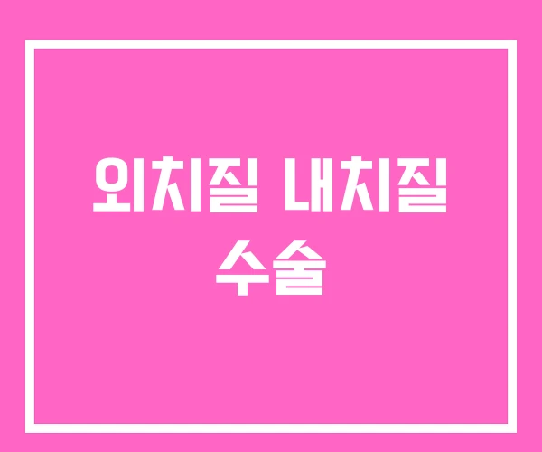 외치질 내치질 수술