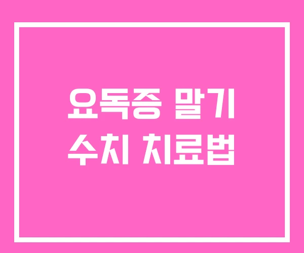 요독증 말기 수치 치료법
