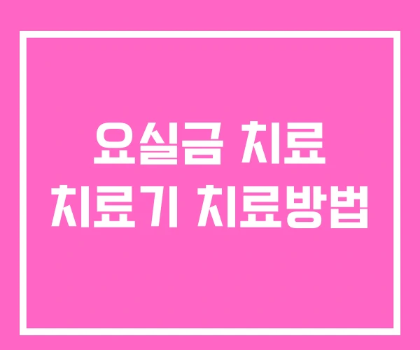 요실금 치료 치료기 치료방법