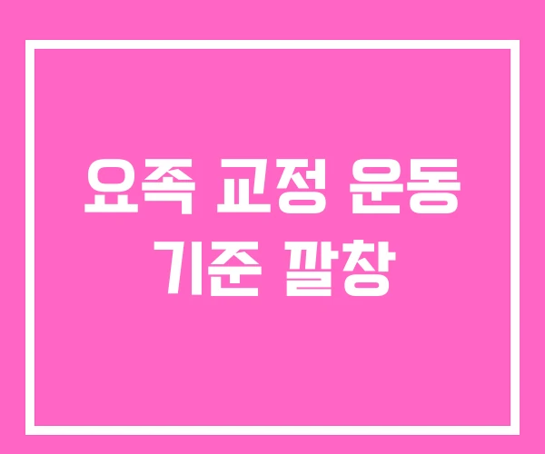 요족 교정 운동 기준 깔창