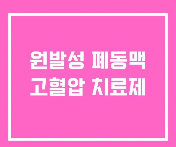 원발성 폐동맥 고혈압 치료제